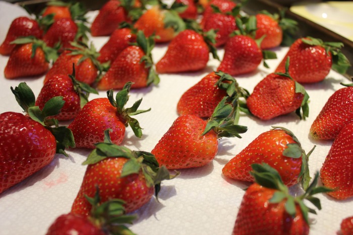 Fresh strawberries lying on a parchment-lined baking pan