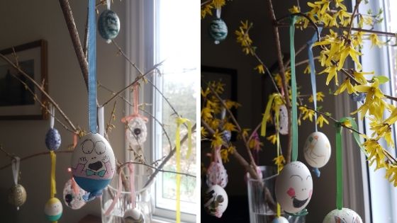 Easter eggs hung from forsythia branches indoors